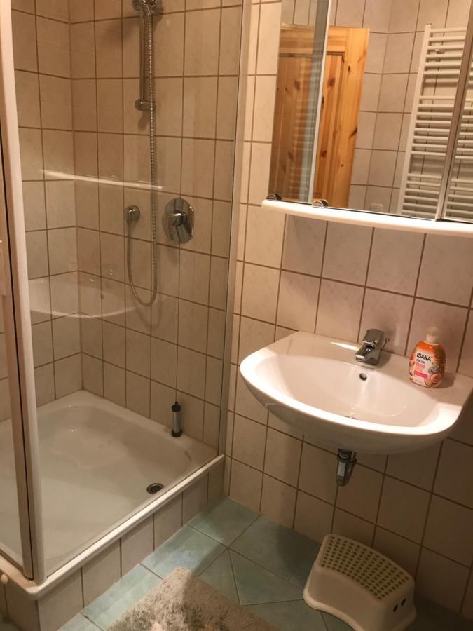 Ferienwohnung "Gruenes Tor" Bei Dresden 도나 외부 사진