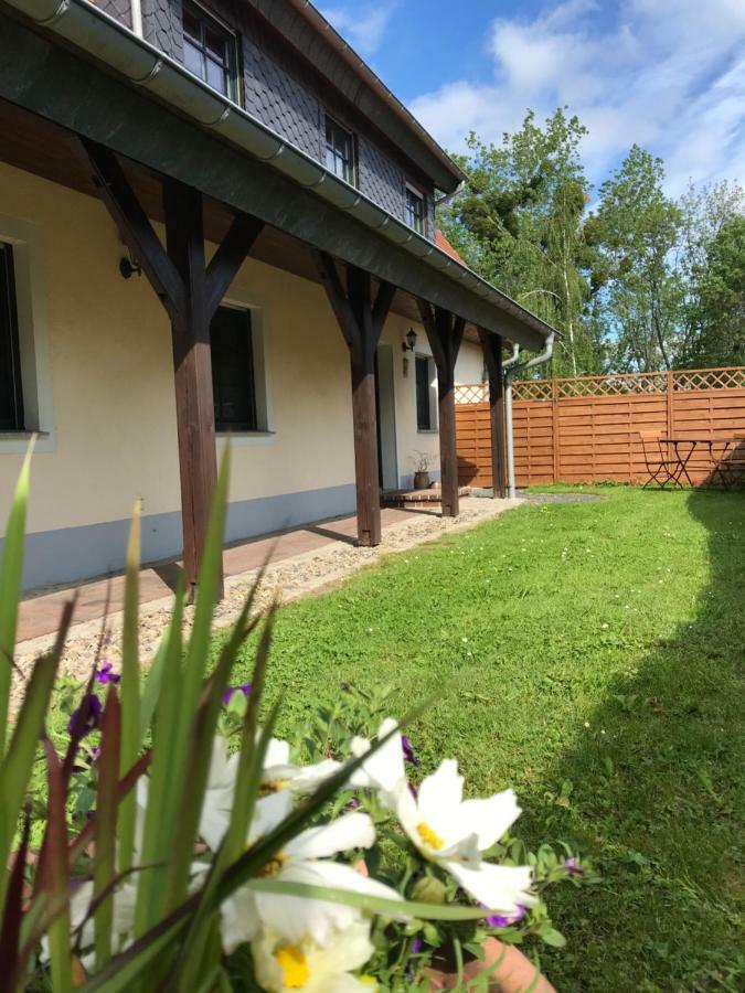 Ferienwohnung "Gruenes Tor" Bei Dresden 도나 외부 사진